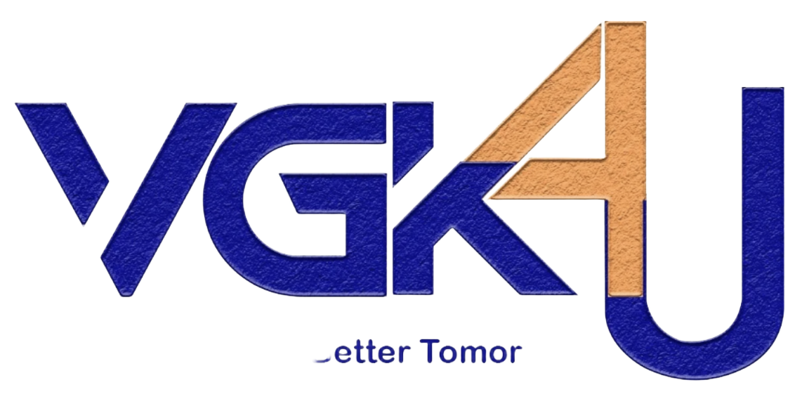 VGK4U Logo